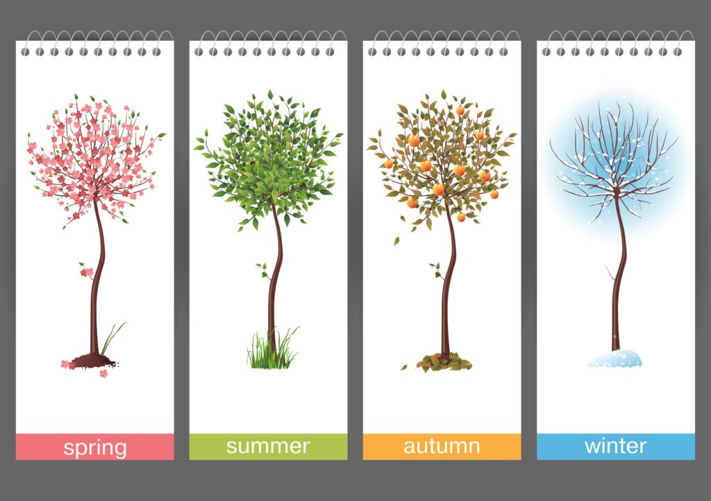 Sleep through the seasons